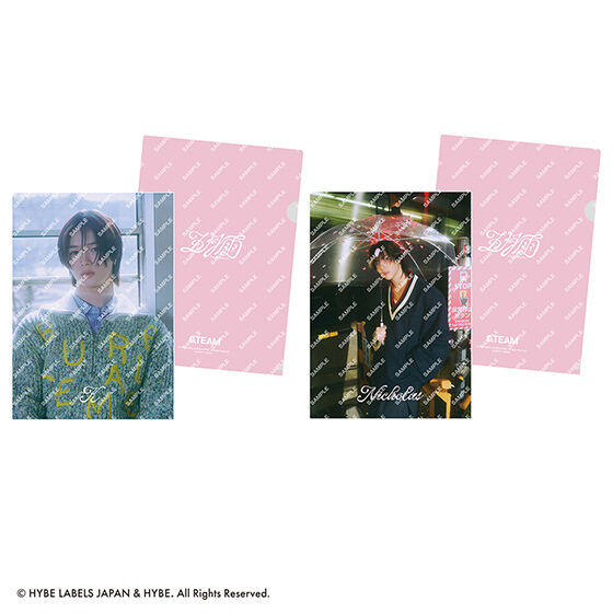 &team clear file collection